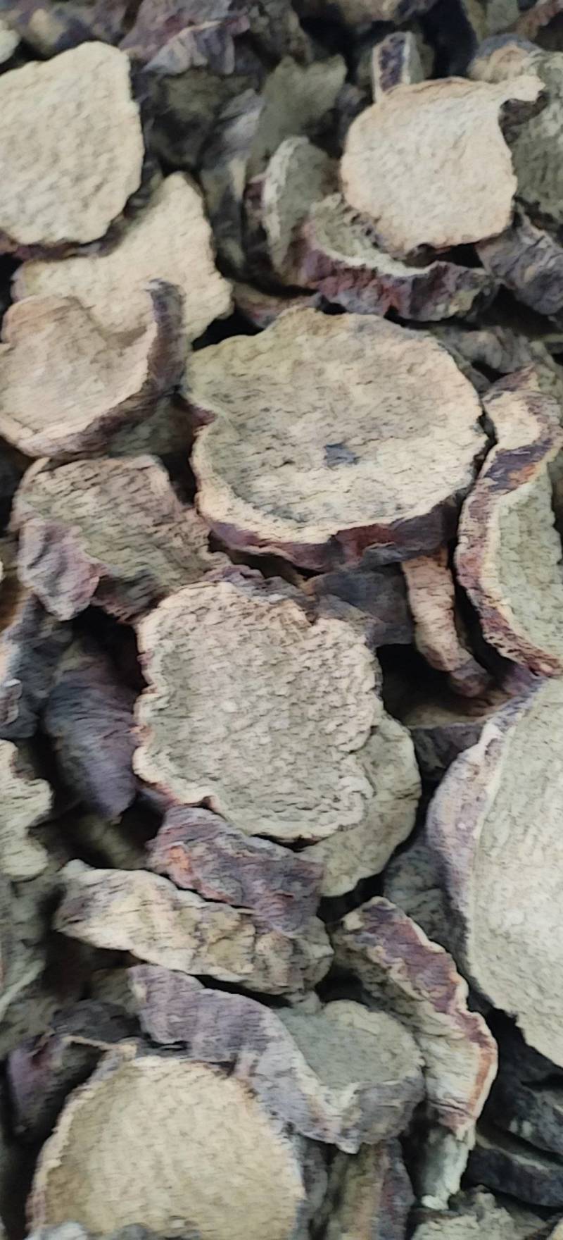 肉苁蓉切片新疆沙漠原味硬质大芸切片原味泡茶煲汤泡酒喝原料
