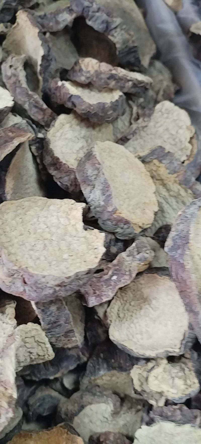 肉苁蓉切片新疆沙漠原味硬质大芸切片原味泡茶煲汤泡酒喝原料