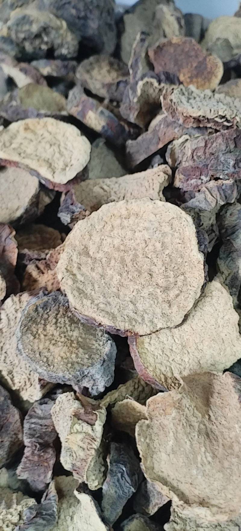 肉苁蓉切片新疆沙漠原味硬质大芸切片原味泡茶煲汤泡酒喝原料