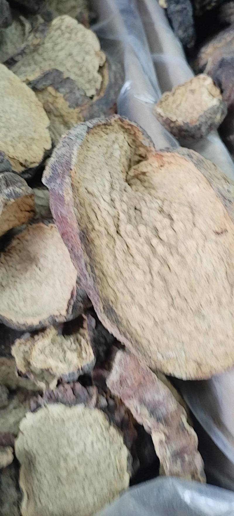 肉苁蓉切片新疆沙漠原味硬质大芸切片原味泡茶煲汤泡酒喝原料