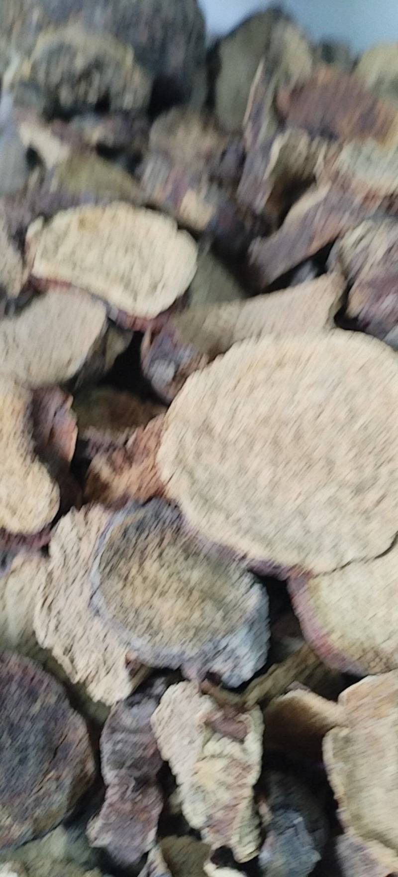 肉苁蓉切片新疆沙漠原味硬质大芸切片原味泡茶煲汤泡酒喝原料