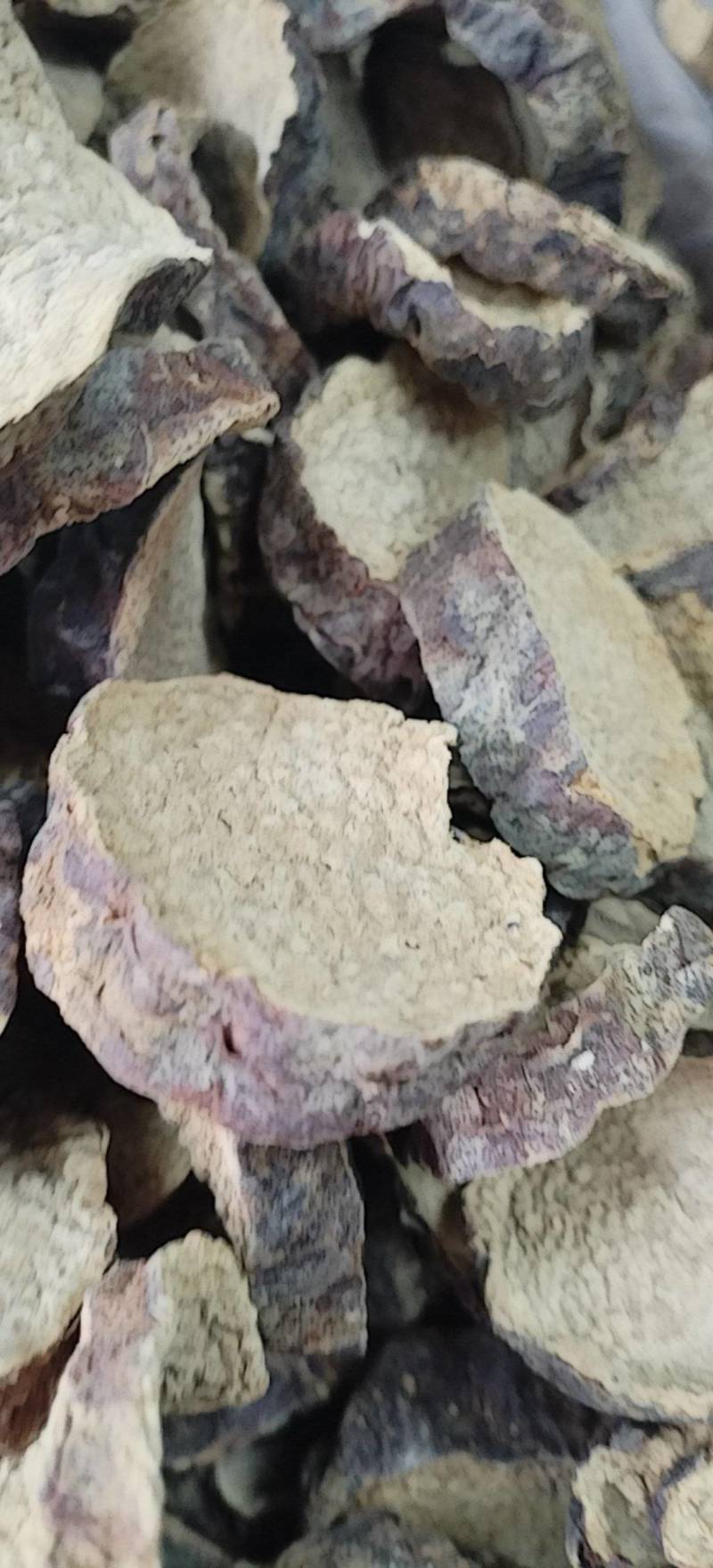 肉苁蓉切片新疆沙漠原味硬质大芸切片原味泡茶煲汤泡酒喝原料