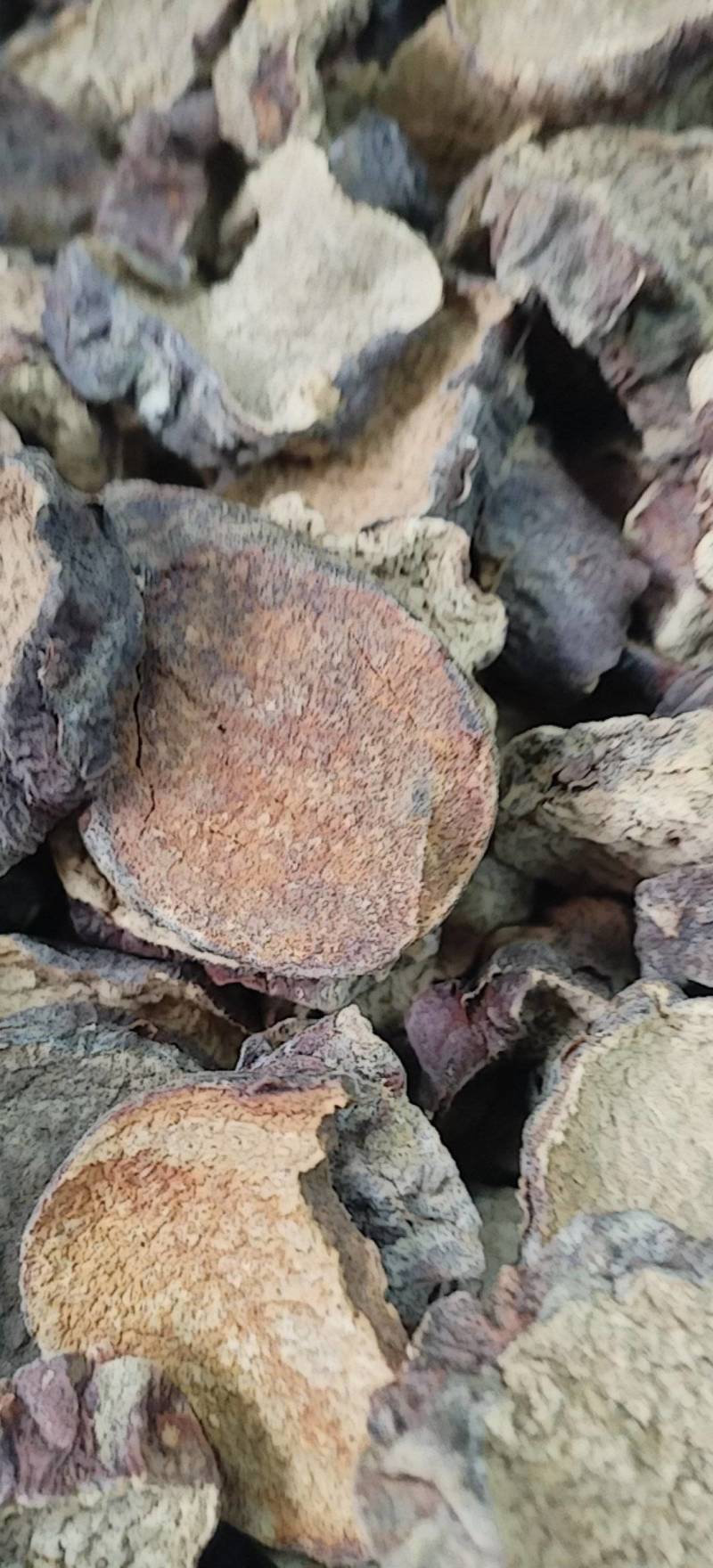 肉苁蓉切片新疆沙漠原味硬质大芸切片原味泡茶煲汤泡酒喝原料
