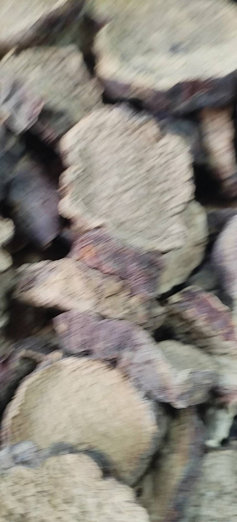 肉苁蓉切片新疆沙漠原味硬质大芸切片原味泡茶煲汤泡酒喝原料