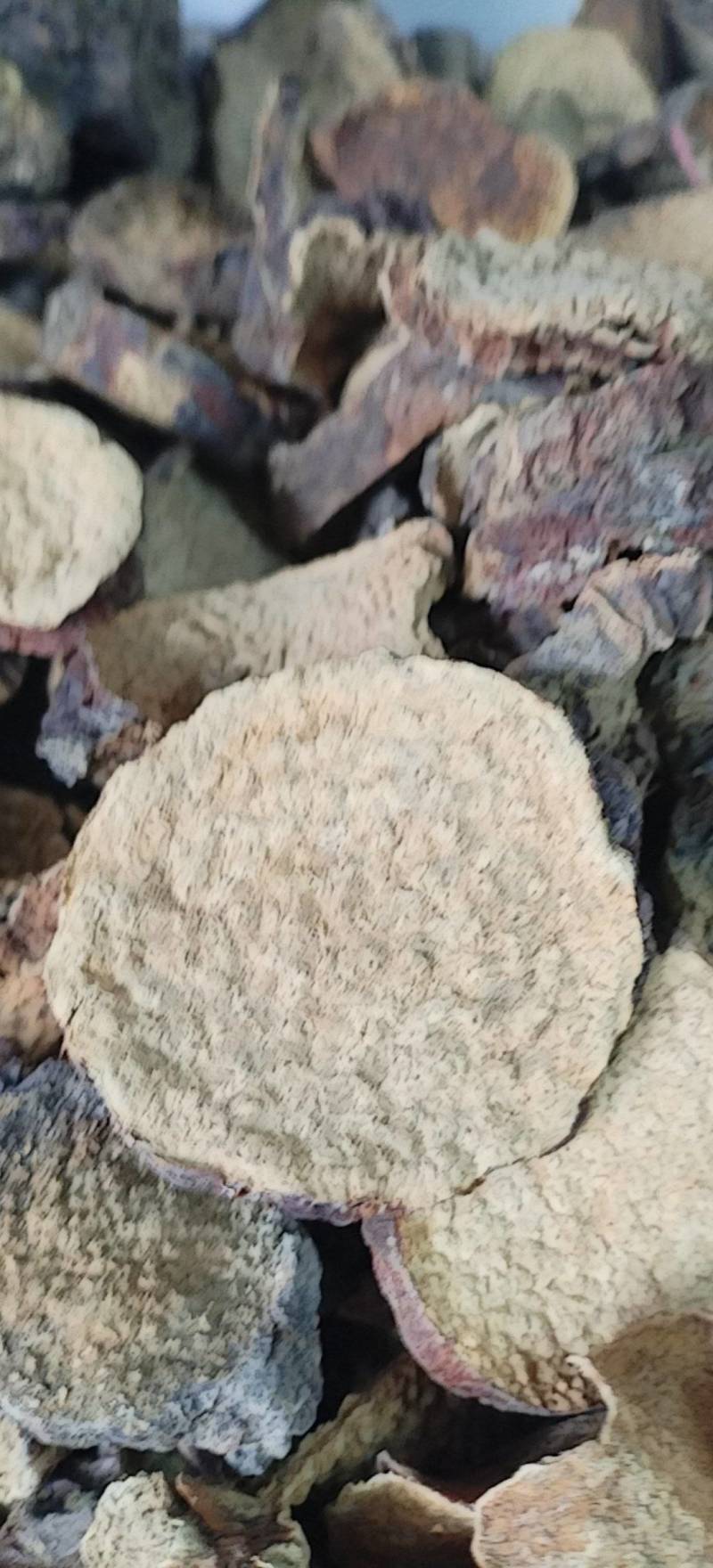 肉苁蓉切片新疆沙漠原味硬质大芸切片原味泡茶煲汤泡酒喝原料