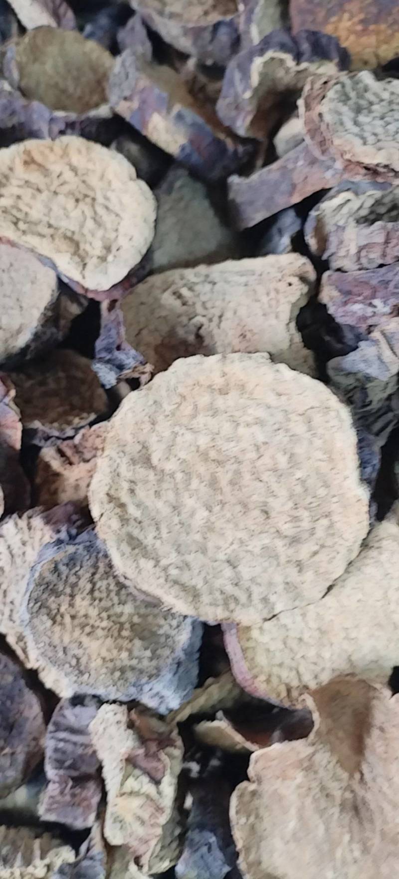 肉苁蓉切片新疆沙漠原味硬质大芸切片原味泡茶煲汤泡酒喝原料