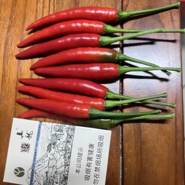 横县指天椒.小米椒