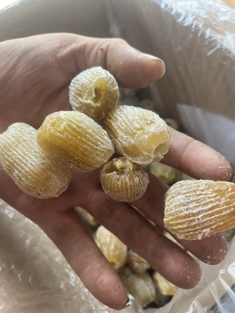 无核干蜜枣、厂家直销、各种规格齐全！