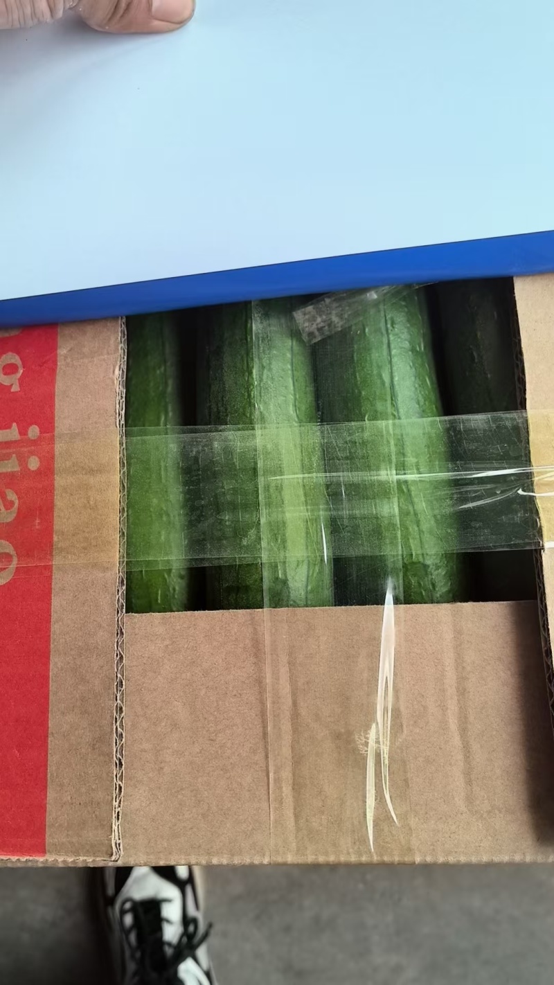 【实力】江苏淮安鲜花丝瓜大量接单品质保证欢迎来电
