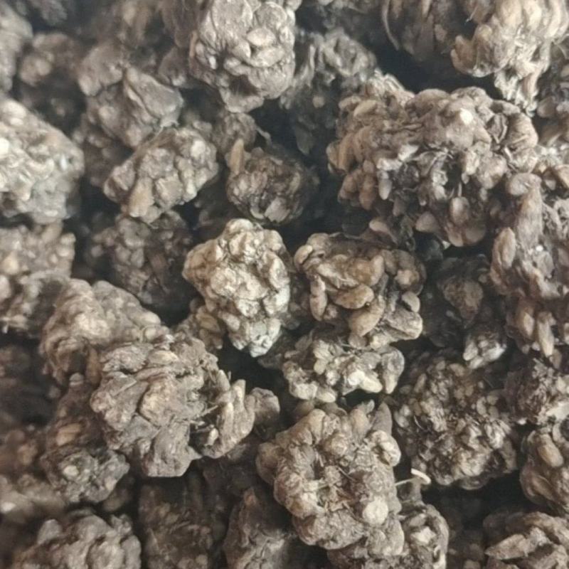 猫爪草猫抓草批发煮水煲汤好货
