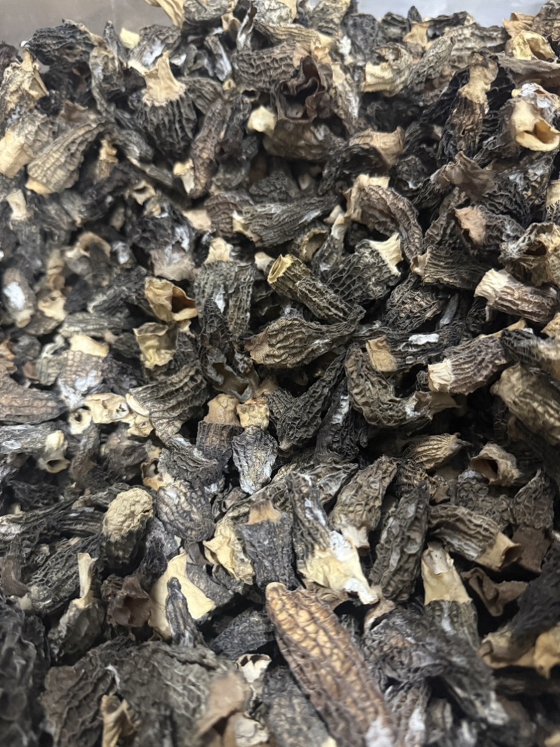 B级羊肚菌，统货，性价比高