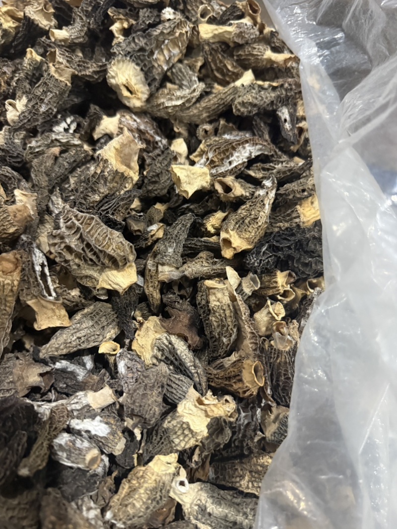 B级羊肚菌，统货，性价比高