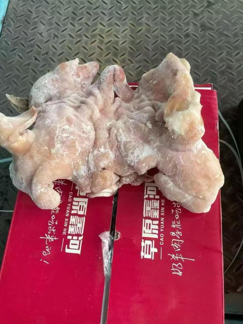 七成熟羊头肉，精修干净，全部低价出，支持样品试货质量保证