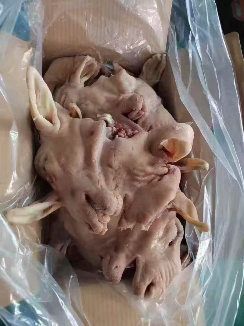 七成熟羊头肉，精修干净，全部低价出，支持样品试货质量保证