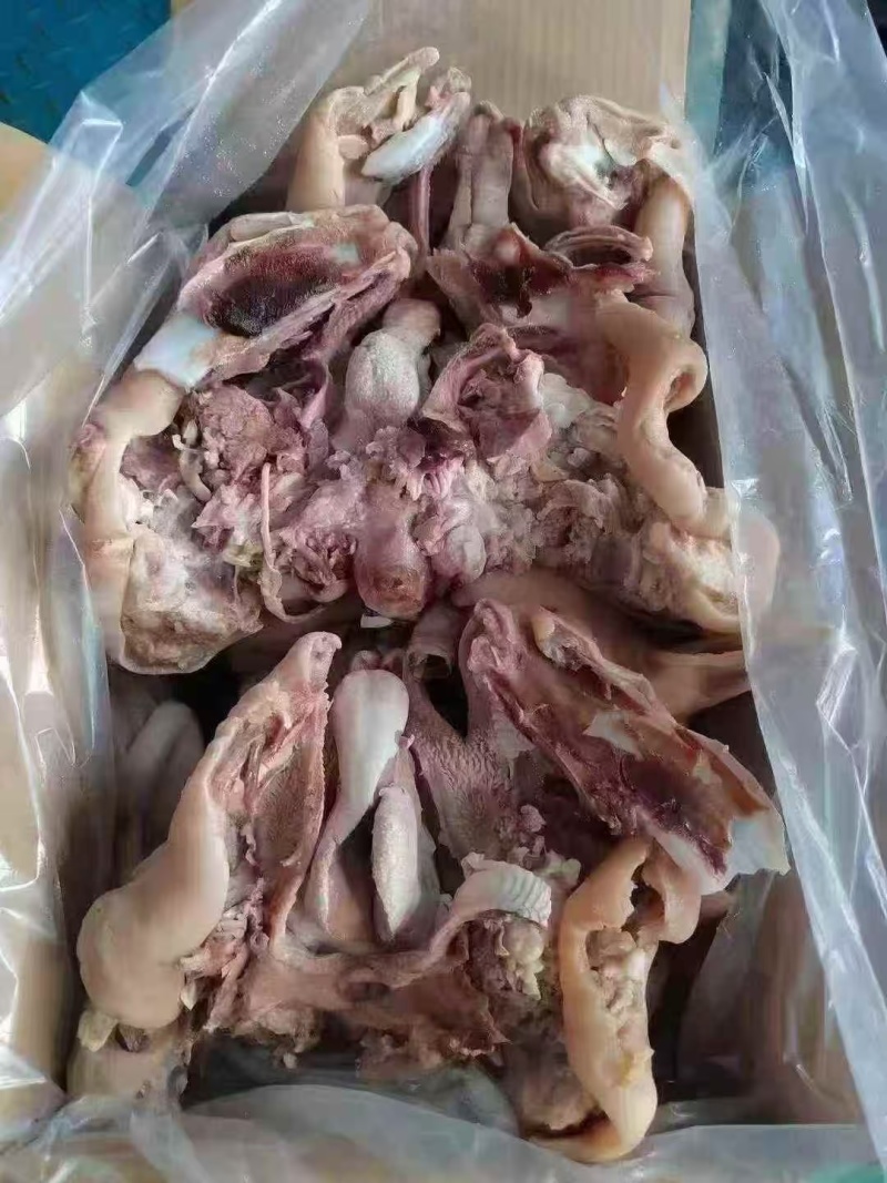 七成熟羊头肉，精修干净，全部低价出，支持样品试货质量保证
