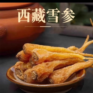 高原大货藏雪参一手货源无熏硫天然滋补食材整货散货批发