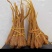 高原大货藏雪参一手货源无熏硫天然滋补食材整货散货批发