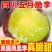 五月脆，（对接电商）原产地直发，日发3万单，大量有货，