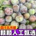 五月脆，（对接电商）原产地直发，日发3万单，大量有货，