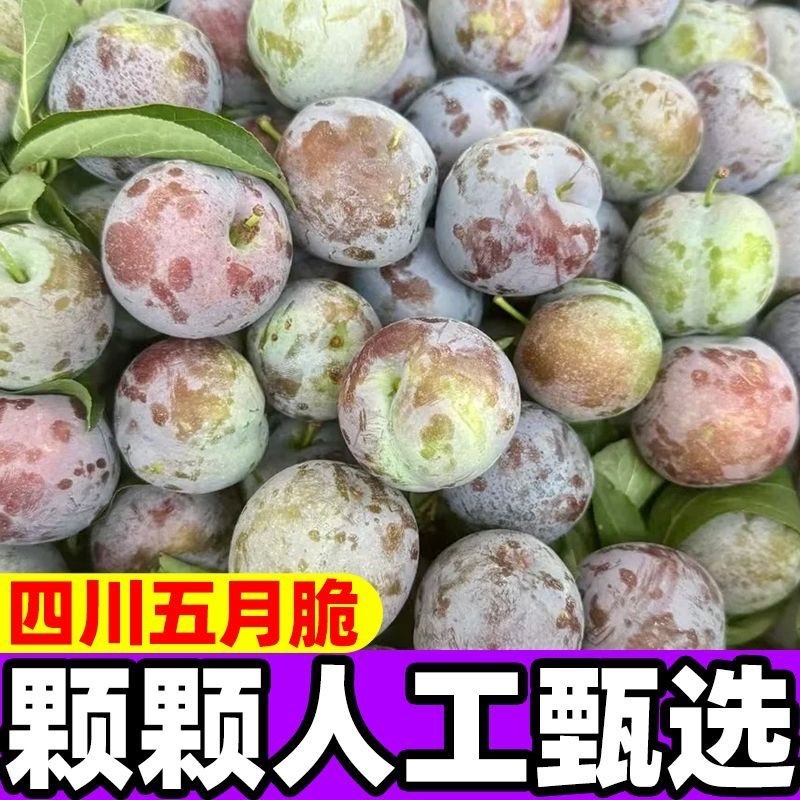 五月脆，（对接电商）原产地直发，日发3万单，大量有货，