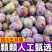 五月脆，（对接电商）原产地直发，日发3万单，大量有货，