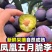 五月脆，（对接电商）原产地直发，日发3万单，大量有货，