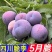 五月脆，（对接电商）原产地直发，日发3万单，大量有货，