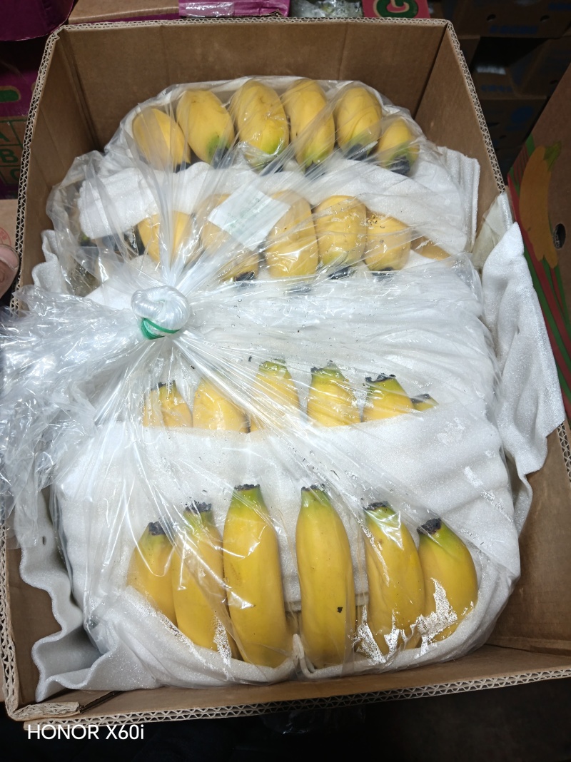 南充香蕉批发