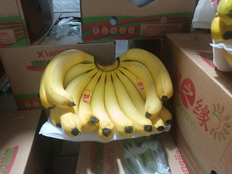 南充香蕉批发