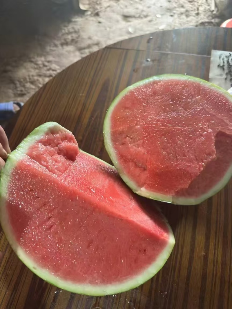 【推荐】无籽美都西瓜皮薄脆甜产地直发量大价格可谈