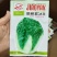 胶研夏秋王大白菜种子耐热夏秋大白菜种子包球紧刺毛少叠抱