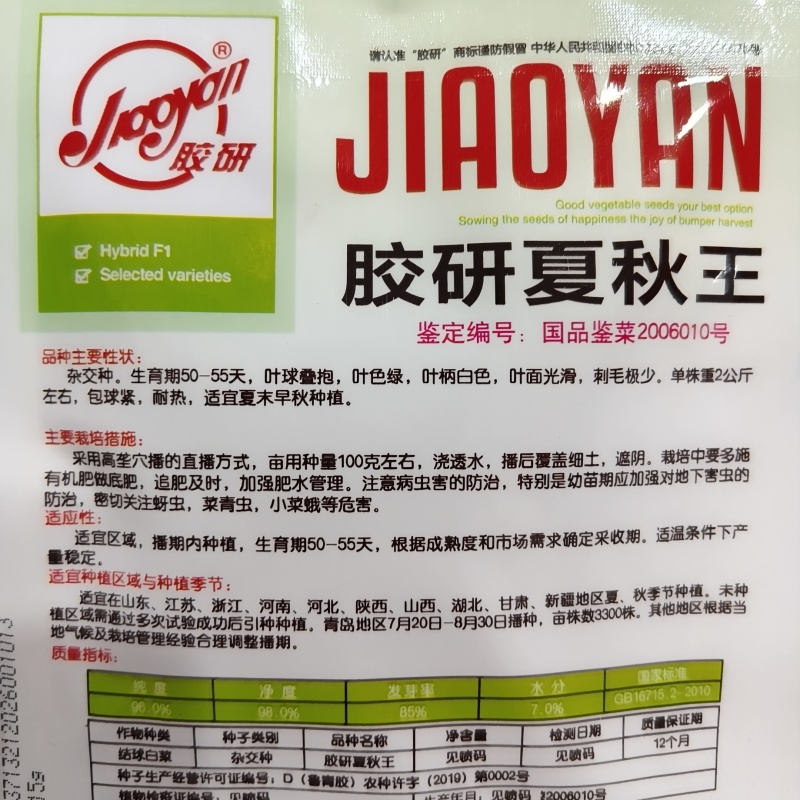 胶研夏秋王大白菜种子耐热夏秋大白菜种子包球紧刺毛少叠抱