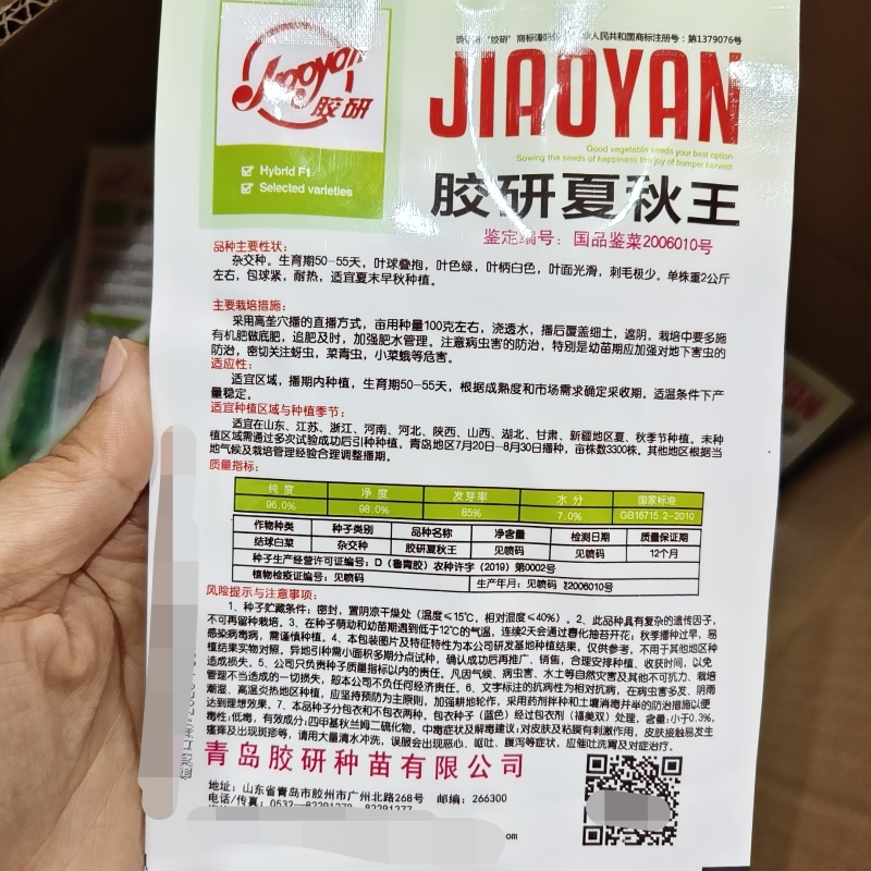 胶研夏秋王大白菜种子耐热夏秋大白菜种子包球紧刺毛少叠抱
