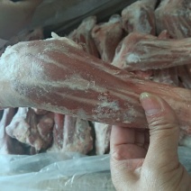 羔羊前腱