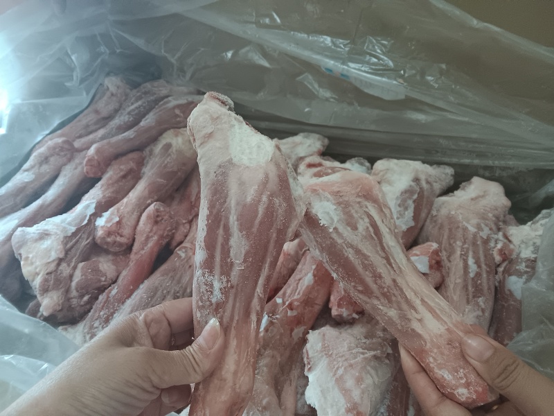 羔羊前腱