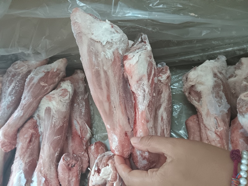 羔羊前腱
