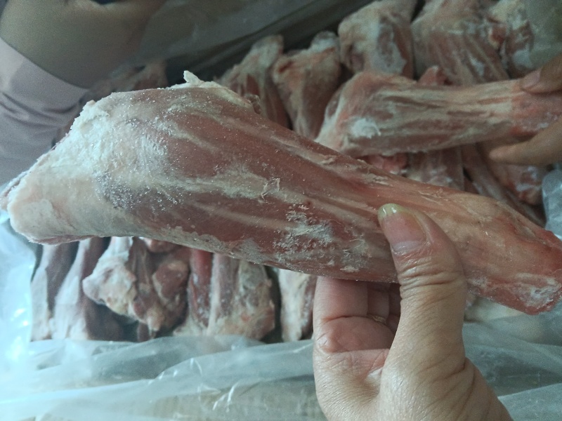 羔羊前腱
