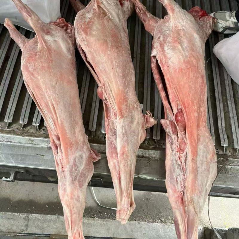 纯干直条羊，纯干每只50斤左右，适合剔肉，加工等出称高。