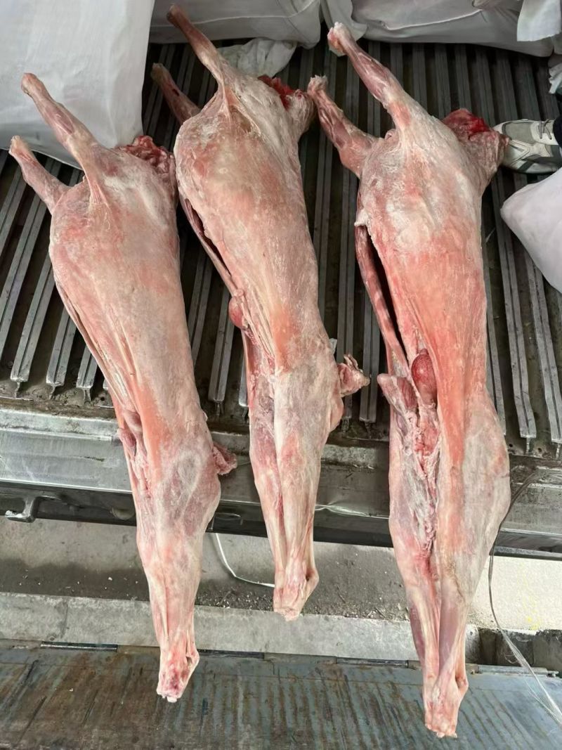纯干直条羊，纯干每只50斤左右，适合剔肉，加工等出称高。