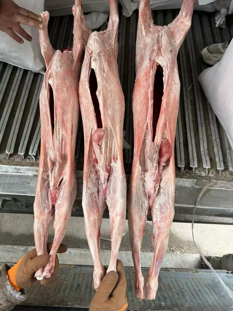 纯干直条羊，纯干每只50斤左右，适合剔肉，加工等出称高。