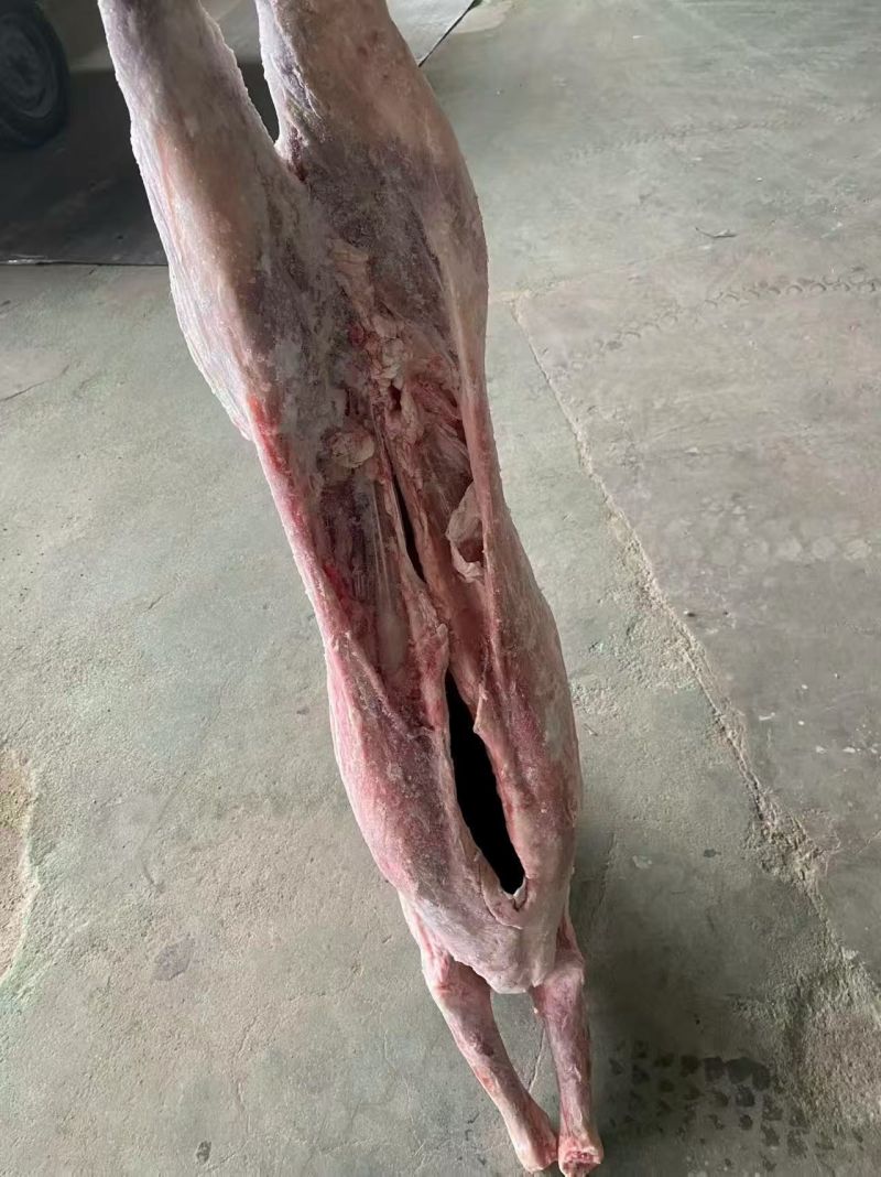 纯干直条羊，纯干每只50斤左右，适合剔肉，加工等出称高。
