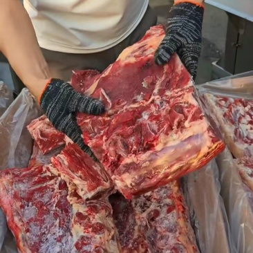满肉牛脊骨