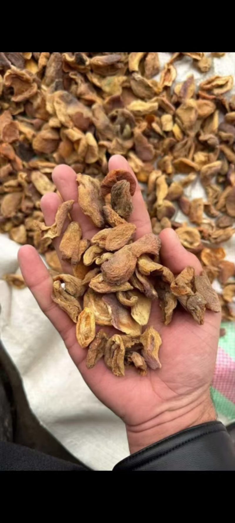 新疆伊犁进口做杏酱的杏子皮自然凉晒干杏子皮