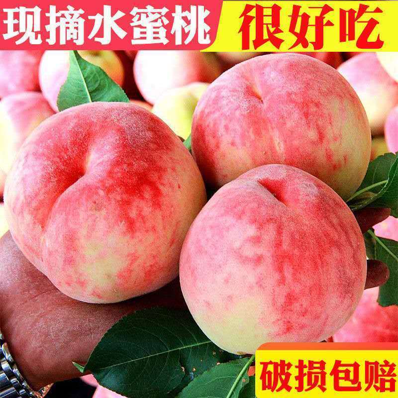 山西运城水蜜桃对接各大电商平台，专业一件代发