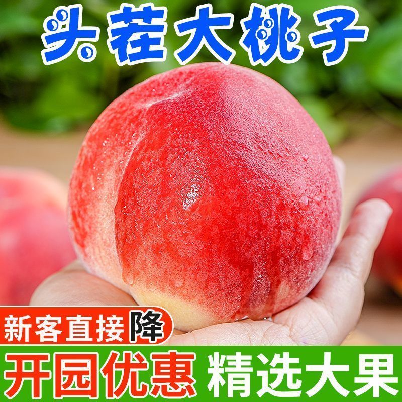山西运城水蜜桃对接各大电商平台，专业一件代发