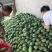 广西百色金煌芒,大量供应,多种方式渠道都可以,一件代发