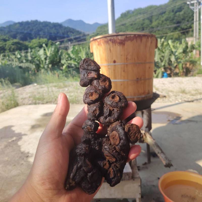 云南高海拔九蒸九晒野生黄精