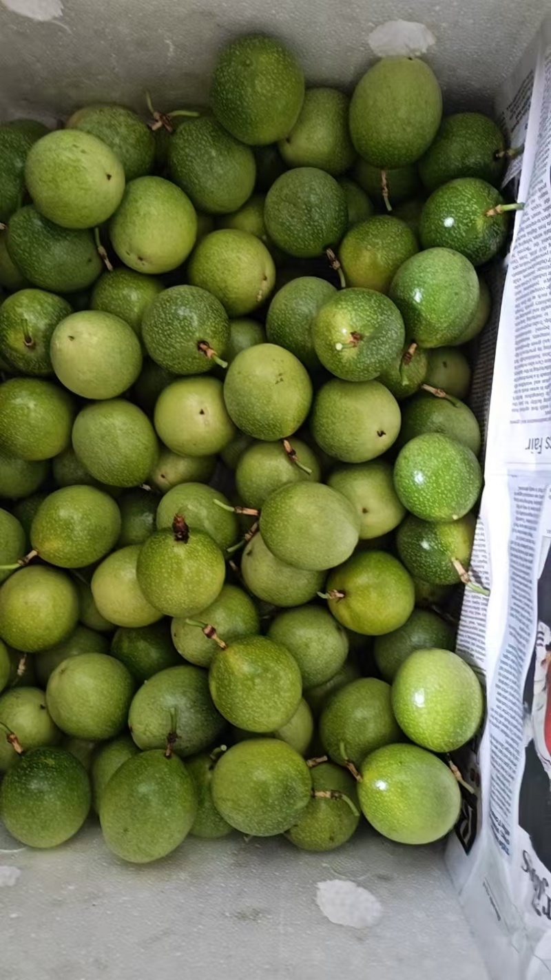百香果精品百香果现摘现发产地直供一手货源欢迎咨询