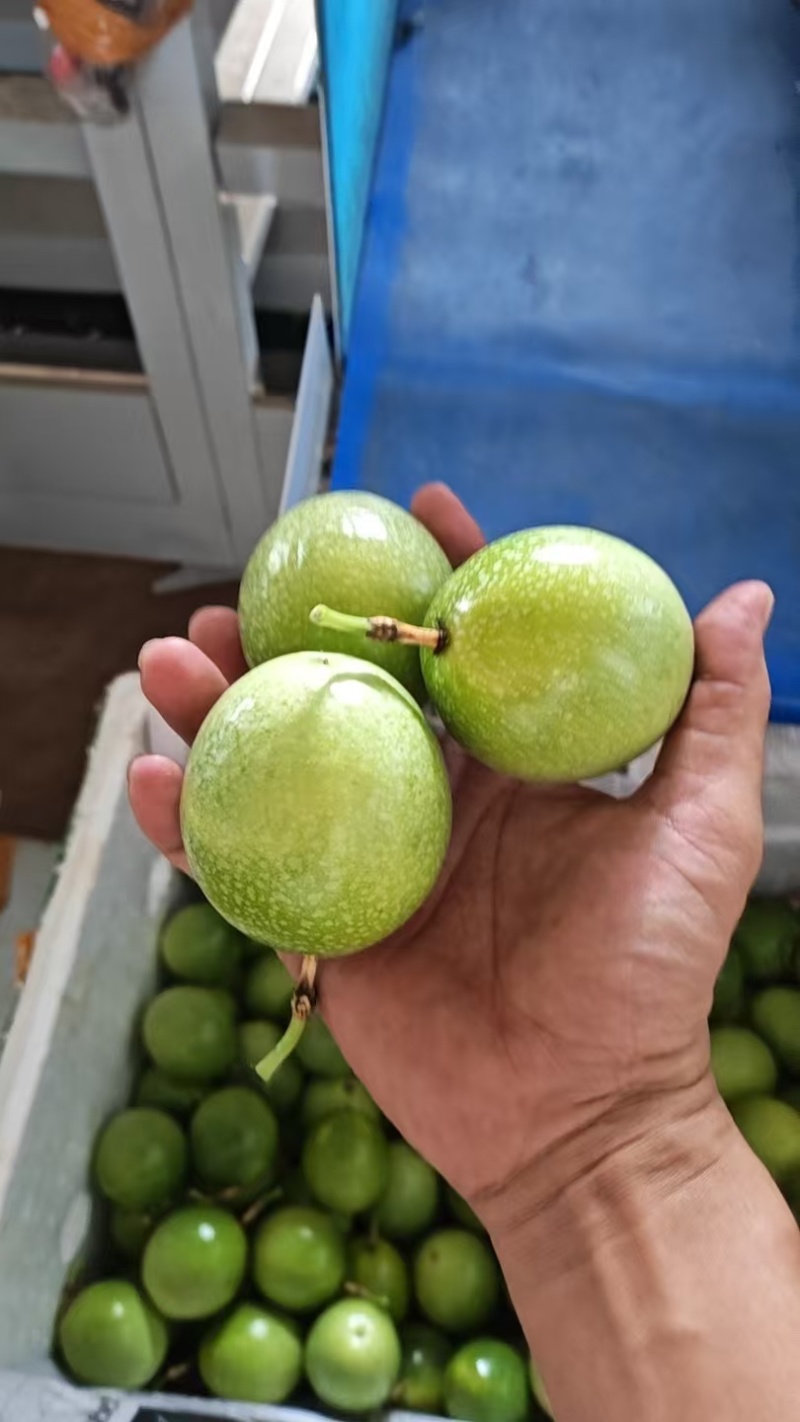 百香果精品百香果现摘现发产地直供一手货源欢迎咨询