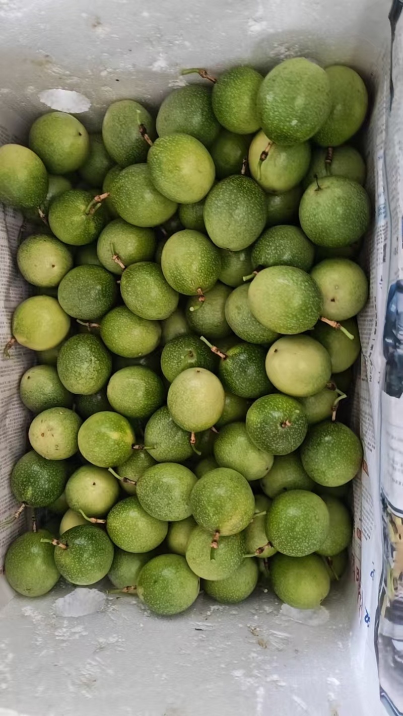 百香果精品百香果现摘现发产地直供一手货源欢迎咨询
